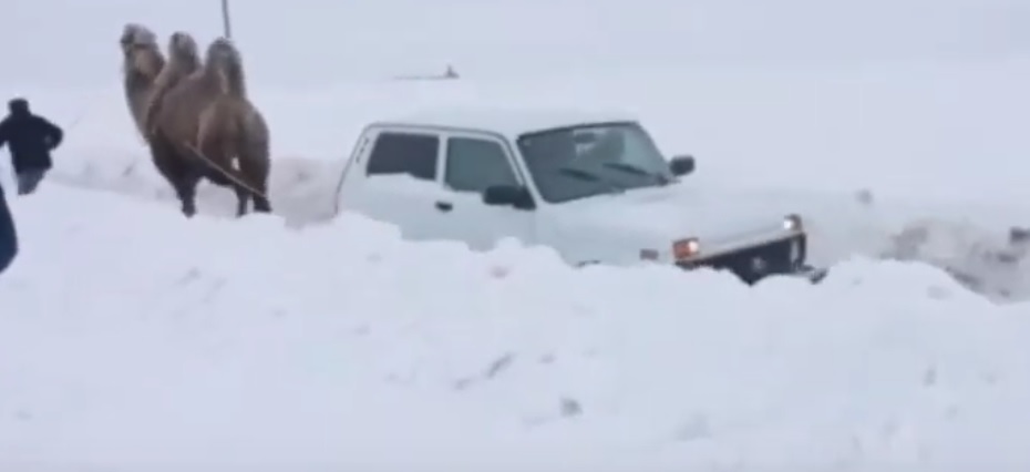 Lada Niva